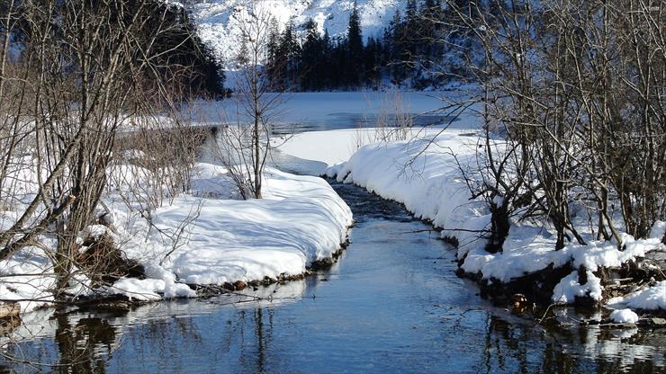 Różne - water-river-snow-winter-tree.jpg