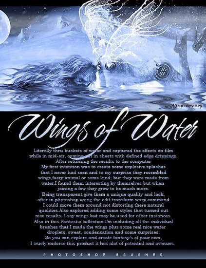 Wings Of Water - Rons_Wings_Of_Water_Poster.jpg