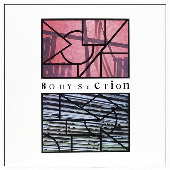 VA - Body Section Remastered 2007 1983 - V.A. - Body Section.jpg